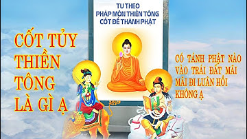 CỐT TỦY THIỀN TÔNG LÀ GÌ Ạ &  GIẢI ĐÁP KHOA HỌC CHÙA THIỀN TÔNG TÂN DIỆU
