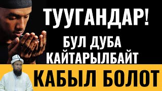 ТУУГАНДАР! БУЛ ДУБА КАЙТАРЫЛБАЙТ / КАБЫЛ БОЛОТ / ЖАТТАГЫЛА