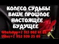 КОЛЕСО СУДЬБЫ ВАШЕ ПРОШЛОЕ НАСТОЯЩЕЕ БУДУЩЕЕ Онлайн гадание