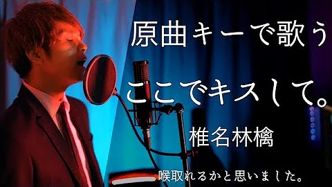 ここでキスして تحميل Download Mp4 Mp3 ここでキスして تحميل Download Mp4 Mp3