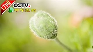 [Chinese Medicine] 20170409 | CCTV-4