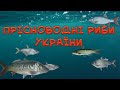 Прісноводні риби України