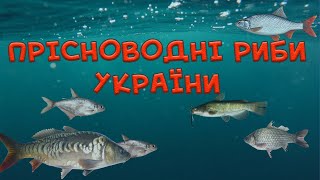 Прісноводні риби України