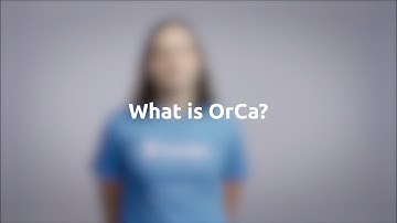 What is OrCa? Oracle-guided fuzzing tool | Ben Mariano