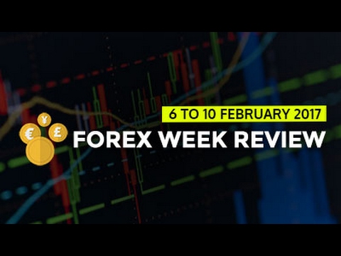 Forex lines 7 review