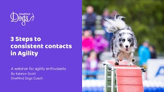 FREE Webinar: Dog agility skills: 3 steps to consistent contacts