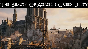 The Beauty Of Assassin