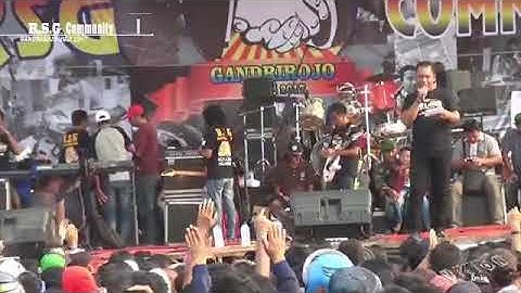 Konco mesra VOC.jihan Audy new pallapa