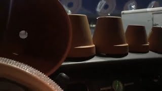 MINI HAULS - HOME DEPOT, JOANNS & DOLLAR TREE