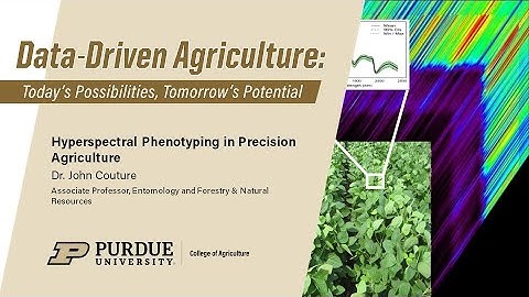 Hyperspectral Phenotyping in Precision Agriculture