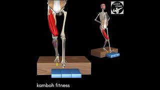 TEST ALERT AThe Forward Step Down (FSD) is a functional test of stairdescent, which involves weight