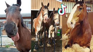 35 Minutes Of Reletable HORSE TikTok Compilation #159