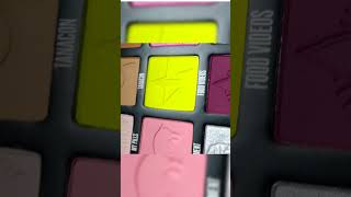 Jeffree Star X Shane Dawson Conspiracy Palette Swatches