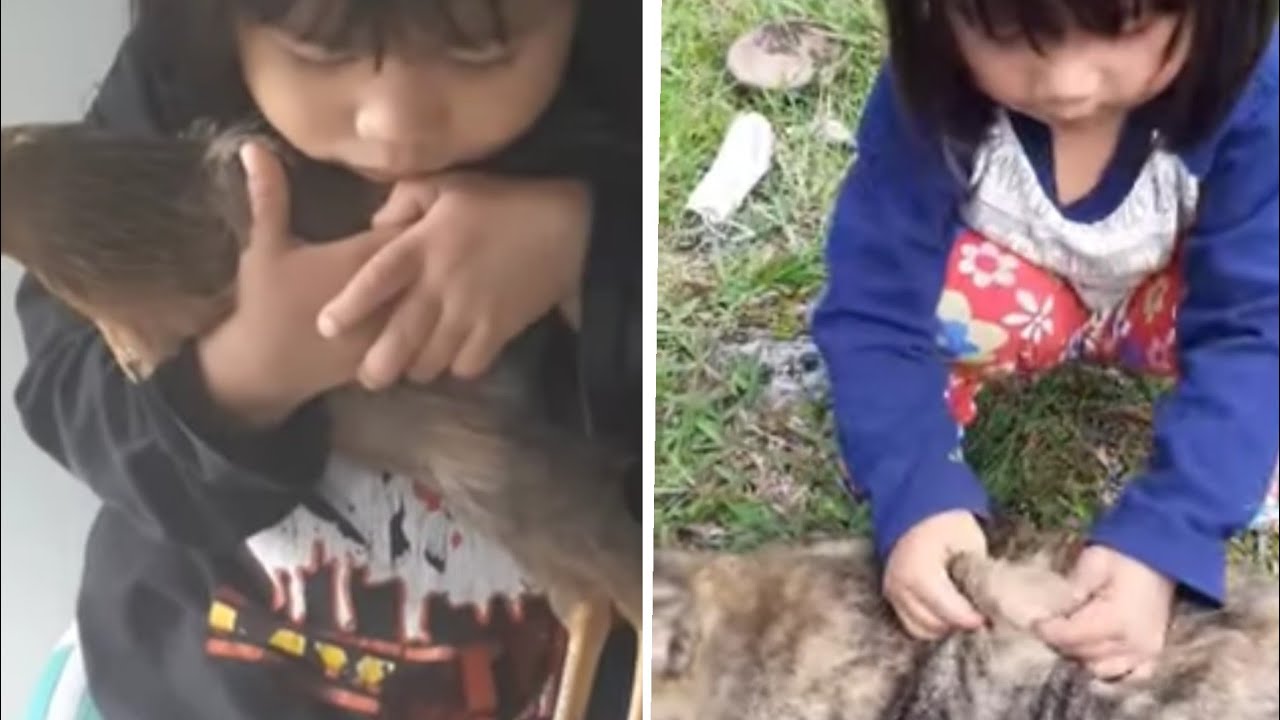 Video Lucu  anak kecil  bermain dengan Hewan  YouTube