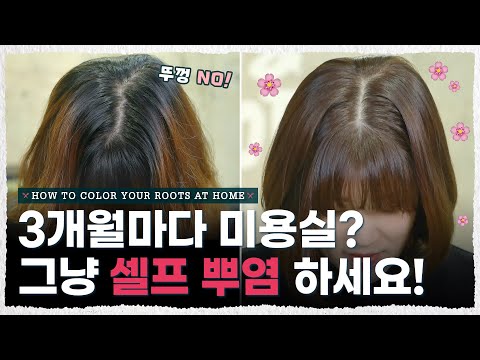   단돈 5 000원 으로 집에서 셀프 뿌염 성공하는 방법 염색빗 꿀팁 내주제에 Ep 24 L HOW TO COLOR YOUR ROOTS AT HOME