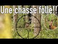 Chasse aux cerfs en alsace  red stag hunting in france