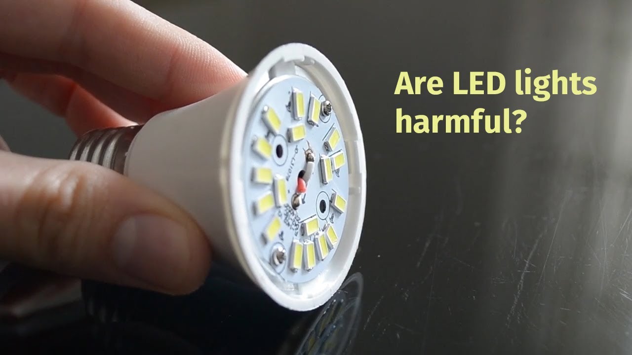 Are LED lights harmful? - YouTube