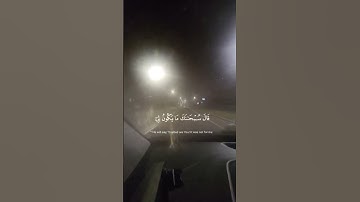 القران الكريم سورة المائدة الاية 116