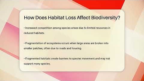 How Does Habitat Loss Affect Biodiversity? - Ecosystem Essentials