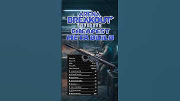 Arena Breakout Infinite CHEAPEST Meta Build EVER!