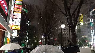 東京都雪予報 2024