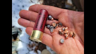 This Buckshot Blows Apart!  Federal Force X2