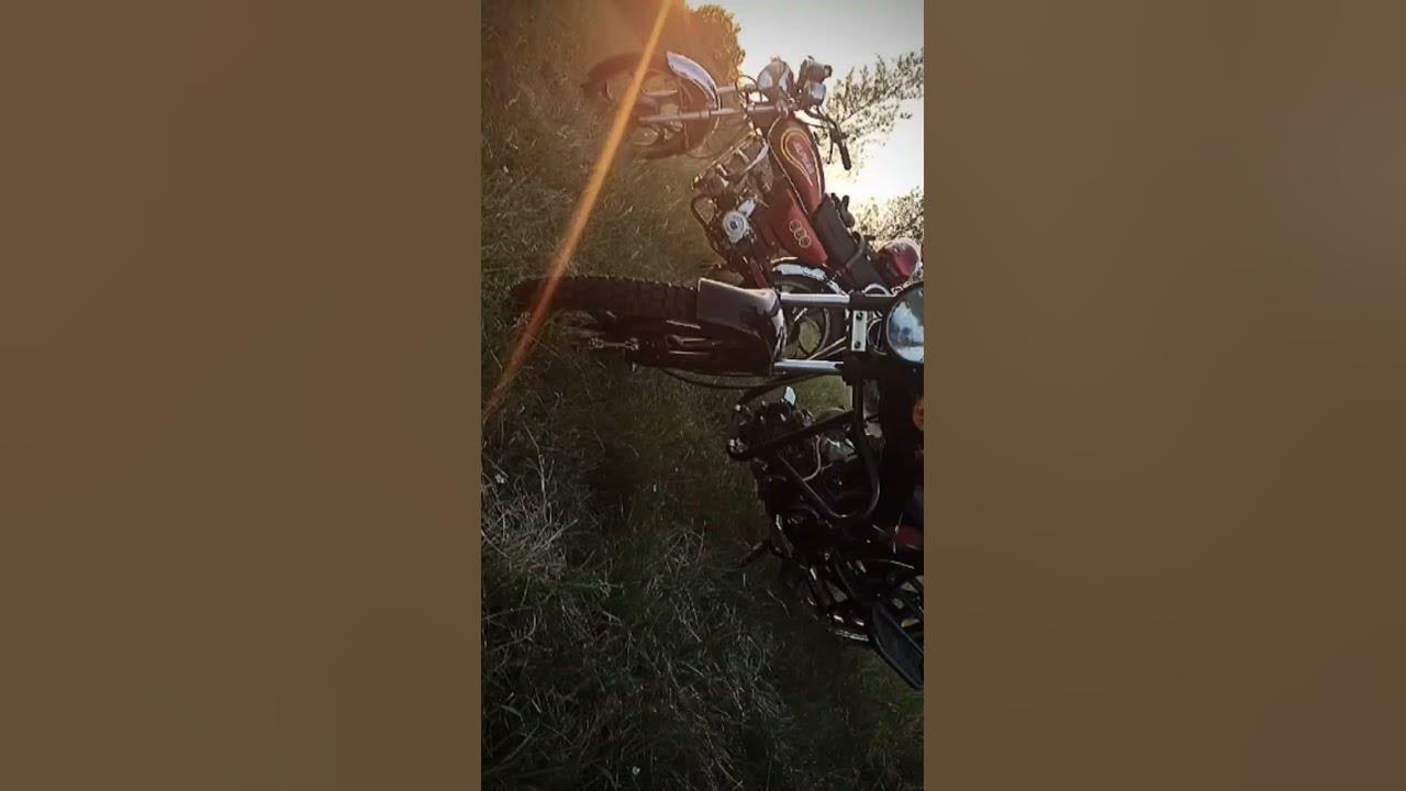 #альфаблогер #альфа #Альфавод - YouTube
