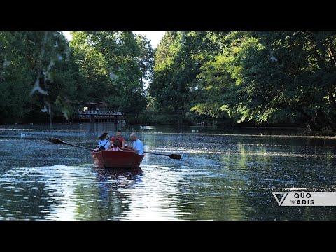 Video: Retro Dhe Perspektivë