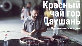 видео: Красный чай гор Даушань. Провинция Чжэцзян картинка: Красный чай гор Даушань. Провинция Чжэцзян