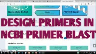 NCBI primer blast  l Primer designing using ncbi blast  I xgene and proteinx
