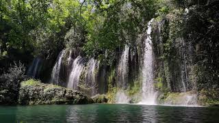 30SECINDS Beautiful Relaxing Music for Stress Relief Instrumental Music Forest Mountain Peace screenshot 4