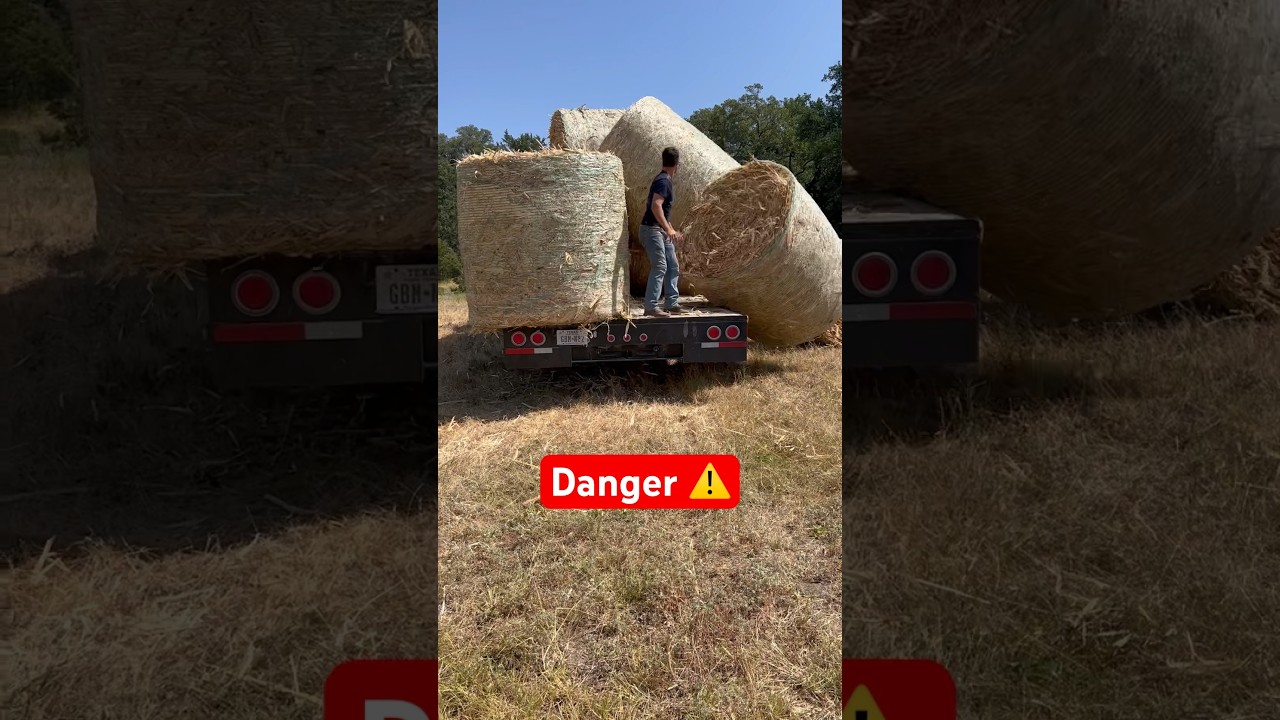 Unloading bales the hard way 