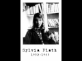 Sylvia plath reads november graveyard