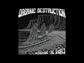 Organic Destruction - Marching the Shores (Single 2025)