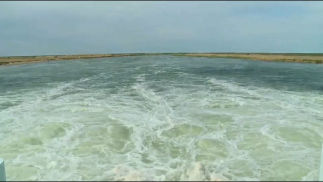 Восстановление экосистемы Аральского моря