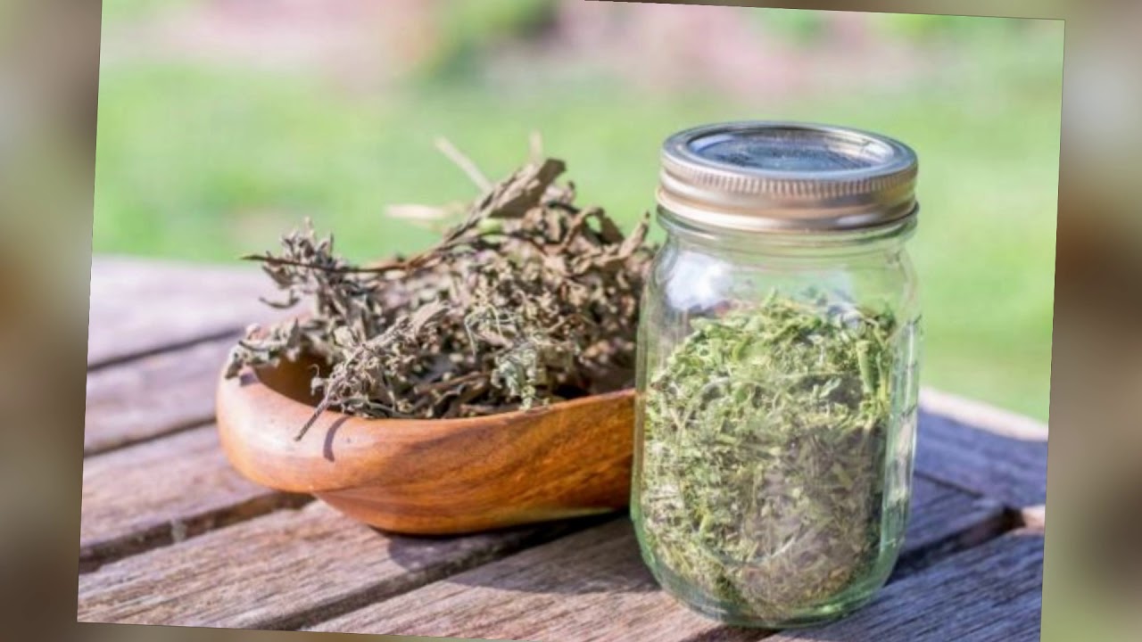 Oregano powder at home how to make oregano powder at home Domino's