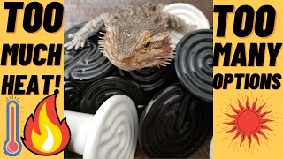 HOW I CONTROL HEAT AND HUMIDITY FOR BEARDED DRAGONS