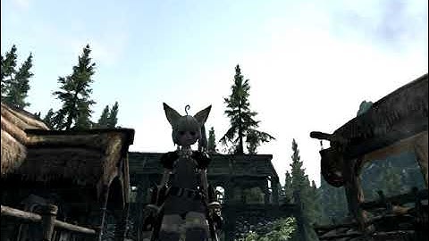 TEVS: Skyrim-Tera Elin Mod