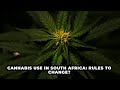 Cannabis use in South Africa: Rules to change? | NEWS IN A MINUTE