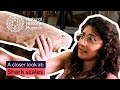 Shark and Fish Interaction Quiz