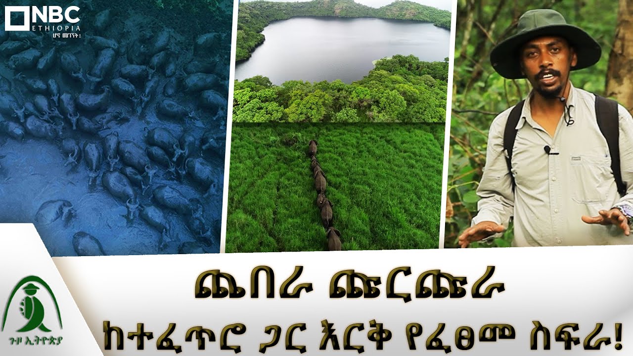 ጨበራ ጩርጩራ | ከተፈጥሮ ጋር እርቅ የፈፀመ ስፍራ! |Guzo Ethiopia | ጉዞ ኢትዮጵያ  @NBCETHIOPIA