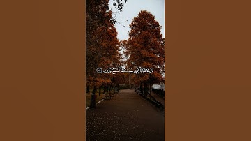 #قرآن #تلاوة_خاشعة #تلاوات #اكسبلور #راحة_نفسية #حالات_واتس #quran #explore #fyp #viral #foryou #1k