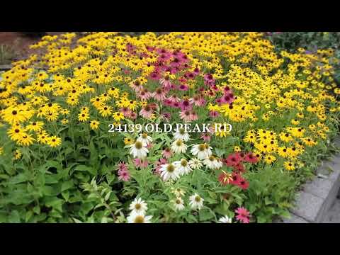 24139 Old Peak Rd, Philomath, OR home video tour