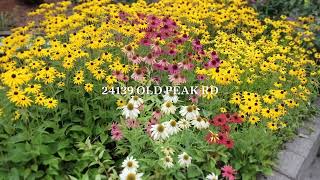 24139 Old Peak Rd Philomath OR Lot Line Update