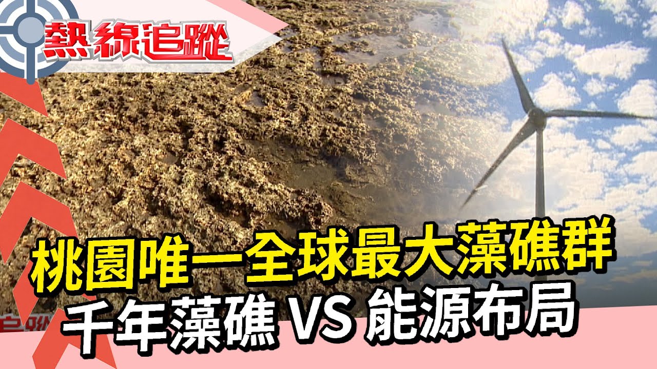 千年藻礁危機 大自然與能源布局的艱難取捨【熱線追蹤】精彩