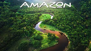 Masa Lalu Hutan Amazon Tercipta dan Mendapatkan Namanya