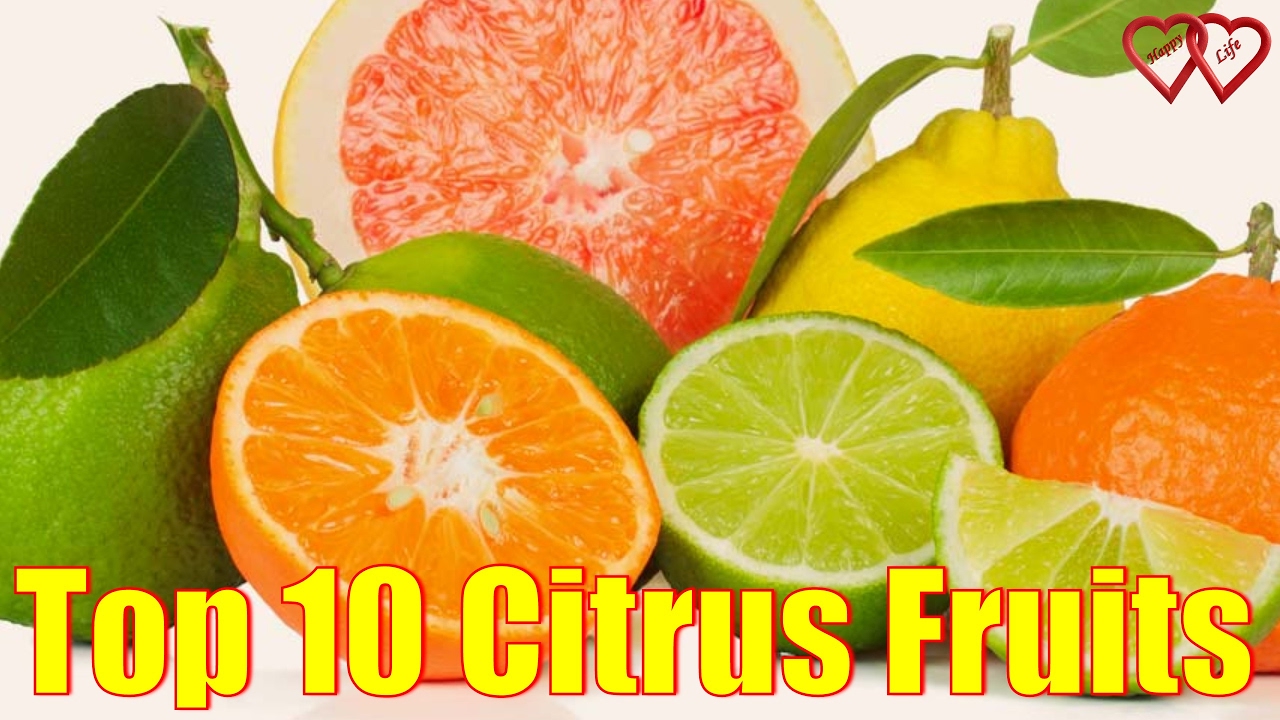 top 10 citrus fruits you should definitely give a try - youtube