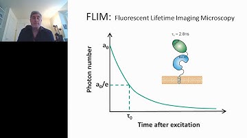 Introduction to FLIM-FRET techniques