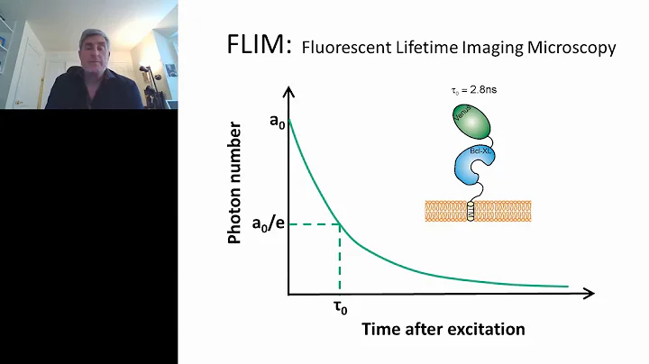 Introduction to FLIM-FRET techniques