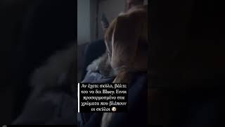 Είναι προσαρμοσμένο στα χρώματα που βλέπουν οι σκύλοι 😍 #κατοικιδια